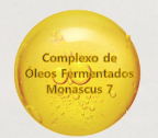 Monascus